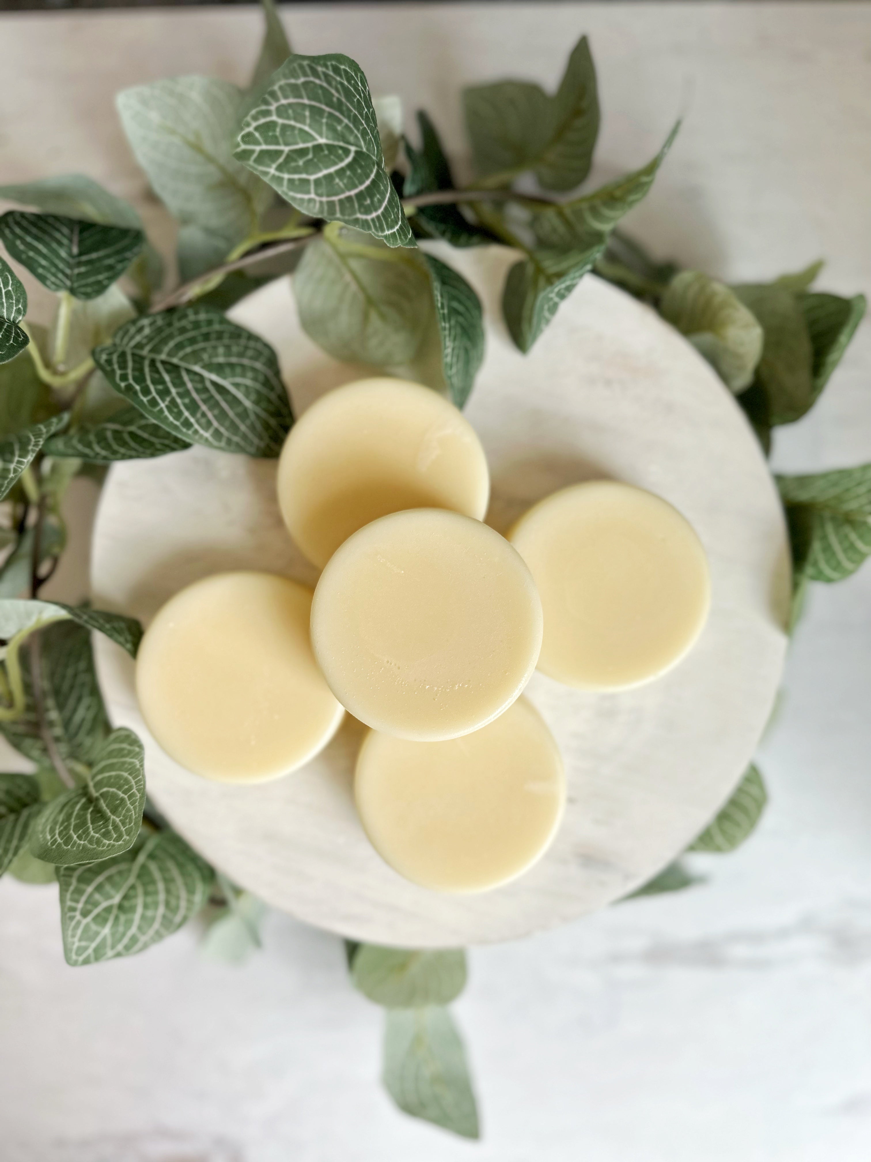 Solid Conditioner Bars