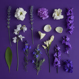 Soft Slumber Gift Bundle