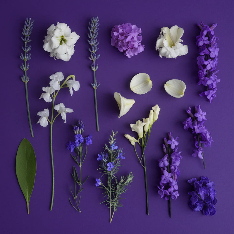 Soft Slumber Gift Bundle